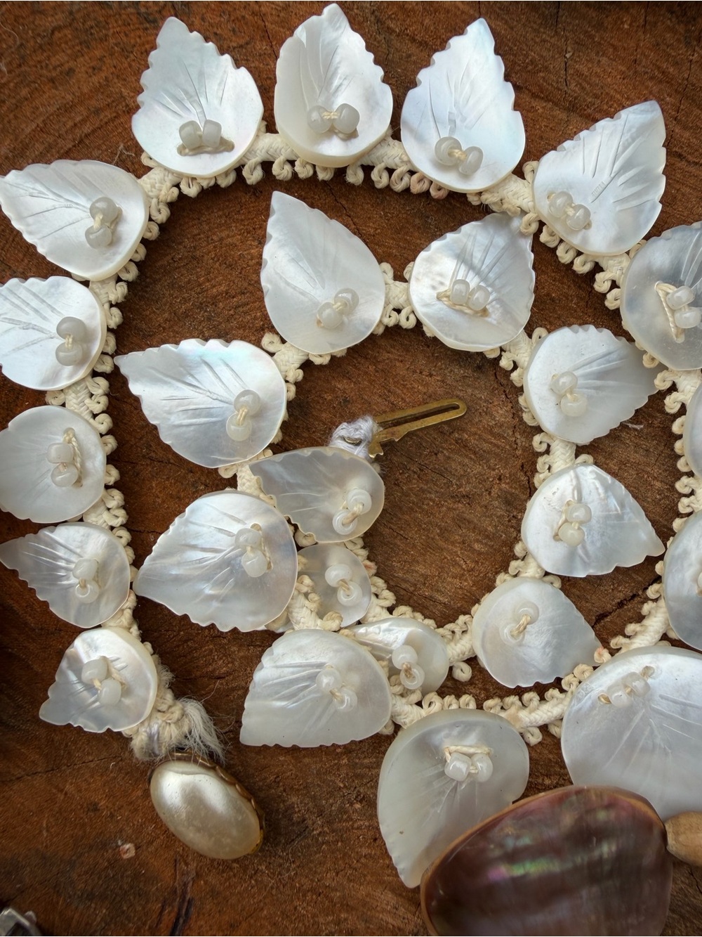 Shell Jewelry Bundle - Picture 7 of 8